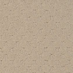 Masland  Southport  Carpet 9540 241