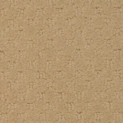 Masland  Southport  Carpet 9540 244