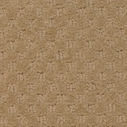 Masland  Southport  Carpet 9540 328