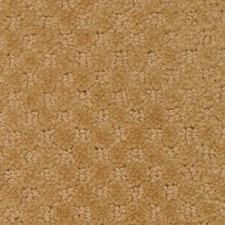 Masland  Southport  Carpet 9540 331