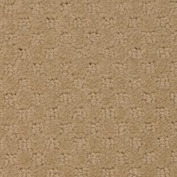 Masland  Southport  Carpet 9540 342