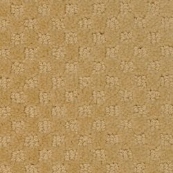 Masland  Southport  Carpet 9540 425
