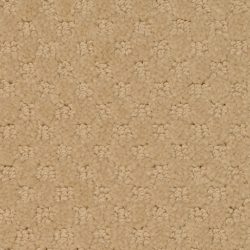 Masland  Southport  Carpet 9540 432