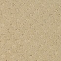 Masland  Southport  Carpet 9540 438