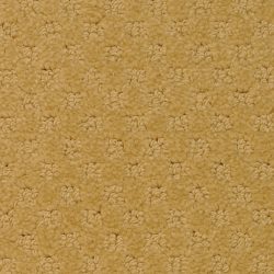 Masland  Southport  Carpet 9540 445