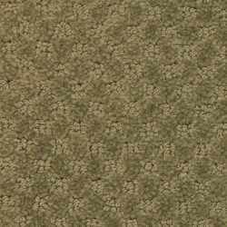 Masland  Southport  Carpet 9540 533