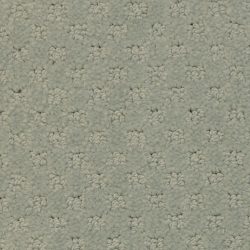 Masland  Southport  Carpet 9540 547
