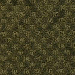 Masland  Southport  Carpet 9540 550
