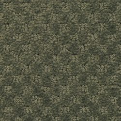 Masland  Southport  Carpet 9540 552