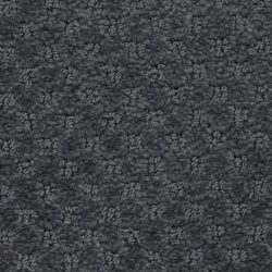 Masland  Southport  Carpet 9540 626