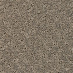 Masland  Southport  Carpet 9540 649