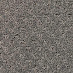 Masland  Southport  Carpet 9540 651