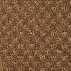 Masland  Southport  Carpet 9540 722