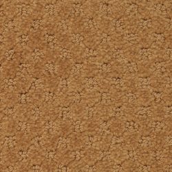 Masland  Southport  Carpet 9540 730