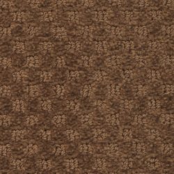 Masland  Southport  Carpet 9540 734