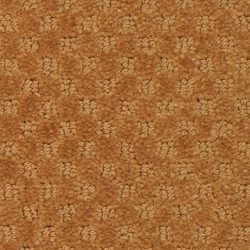 Masland  Southport  Carpet 9540 737