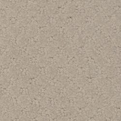 Masland  Southport  Carpet 9540 827
