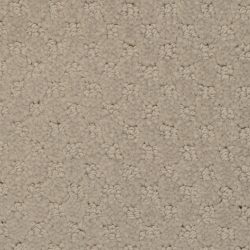 Masland  Southport  Carpet 9540 840