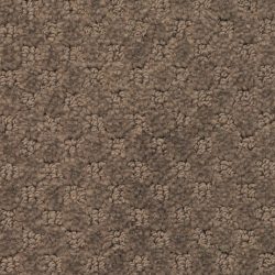 Masland  Southport  Carpet 9540 846