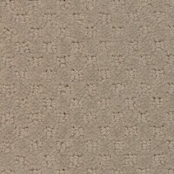 Masland  Southport  Carpet 9540 848
