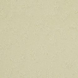 Masland  True Luxury Carpet 9541 119