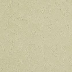Masland  True Luxury Carpet 9541 122