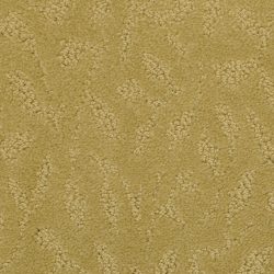 Masland  True Luxury Carpet 9541 364