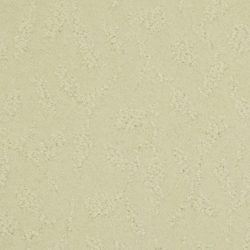 Masland  True Luxury Carpet 9541 411
