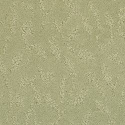 Masland  True Luxury Carpet 9541 545