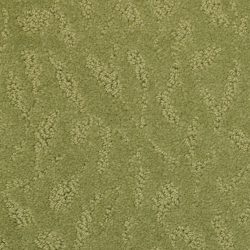 Masland  True Luxury Carpet 9541 574