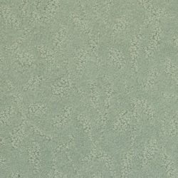 Masland  True Luxury Carpet 9541 645