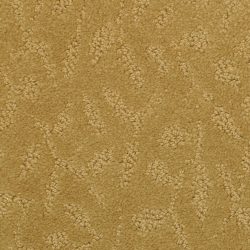 Masland  True Luxury Carpet 9541 779