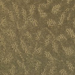 Masland  True Luxury Carpet 9541 898