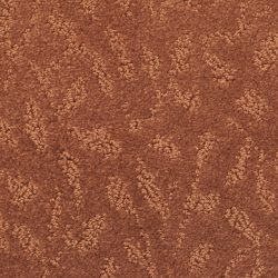 Masland  True Luxury Carpet 9541 979
