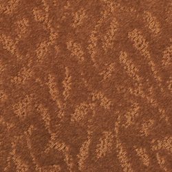 Masland  True Luxury Carpet 9541 999