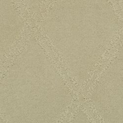 Masland  Braided Opulence Carpet 9542 247
