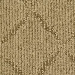 Masland  Unforgettable Carpet 9543 787