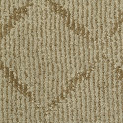 Masland  Unforgettable Carpet 9543 897