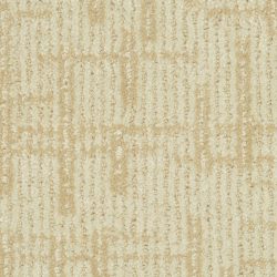Masland  Timeless Perfection  Carpet 9544 121