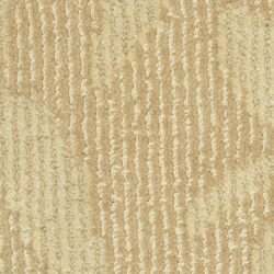 Masland  Preferred Style Carpet 9545 242
