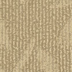 Masland  Preferred Style Carpet 9545 332