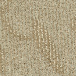 Masland  Preferred Style Carpet 9545 378