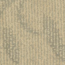 Masland  Preferred Style Carpet 9545 772