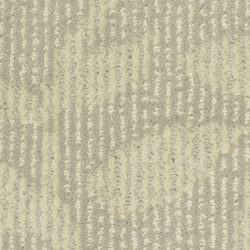 Masland  Preferred Style Carpet 9545 831