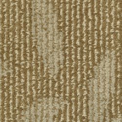 Masland  Preferred Style Carpet 9545 897