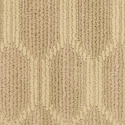 Masland  Celebrity Carpet 9546 797