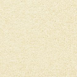 Masland  Morgan Bay Carpet 9550 276