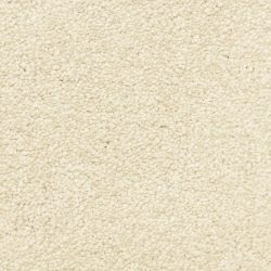 Masland  Morgan Bay Carpet 9550 289