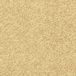 Masland  Morgan Bay Carpet 9550 393
