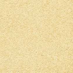 Masland  Morgan Bay Carpet 9550 491